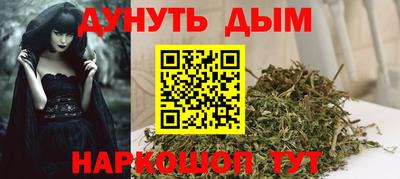 гидра Краснокаменск
