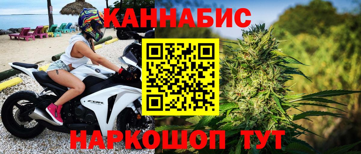 Бошки марихуана ГИДРОПОН Кингисепп